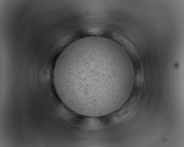 X0000103950424200809261752