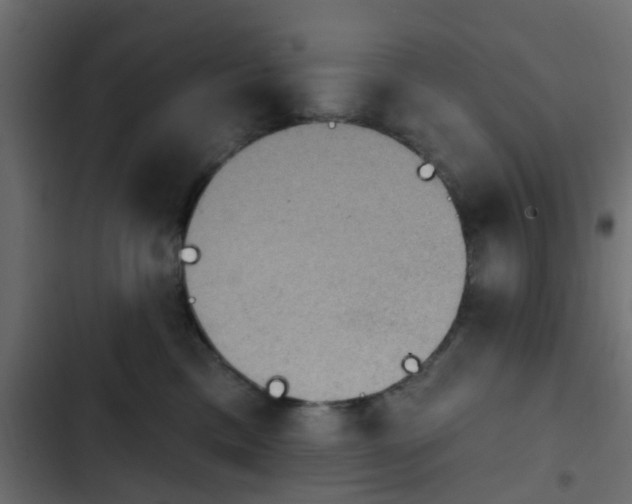 X0000103950425200809261752