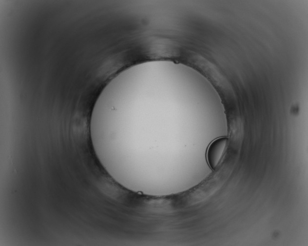 X0000103950426200809261752