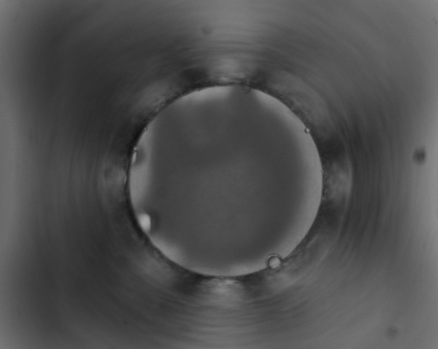 X0000103950427200809261752