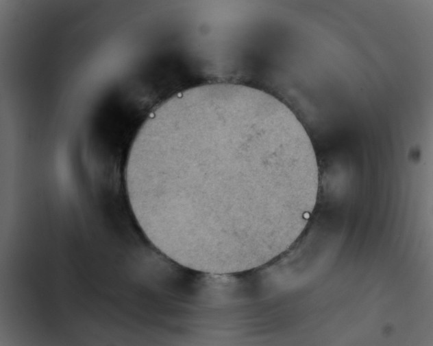 X0000103950429200809261752