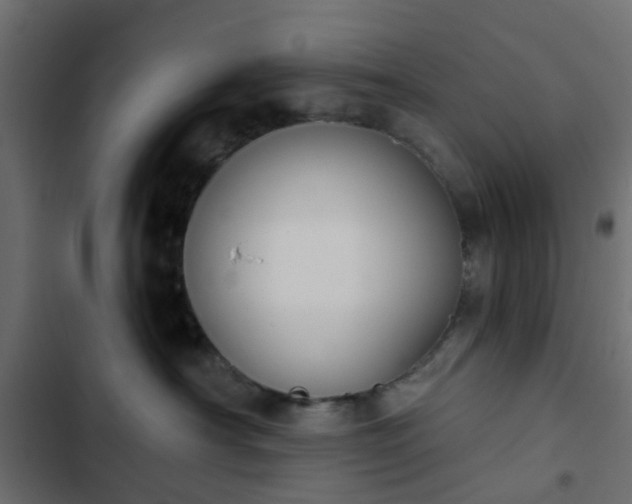 X0000103950430200809261752