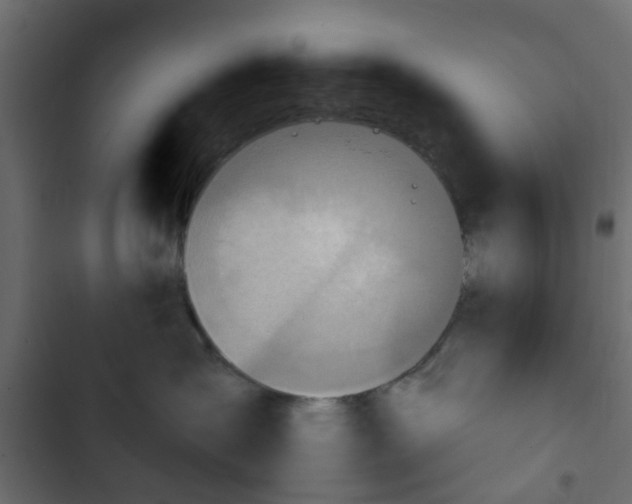 X0000103950431200809261752