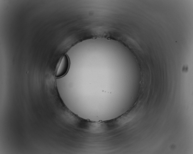 X0000103950432200809261752