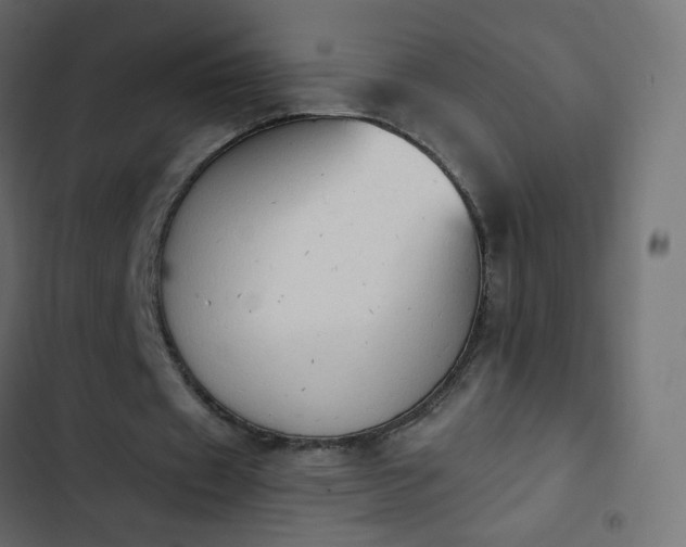 X0000103950433200809261752