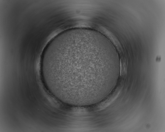 X0000103950435200809261752