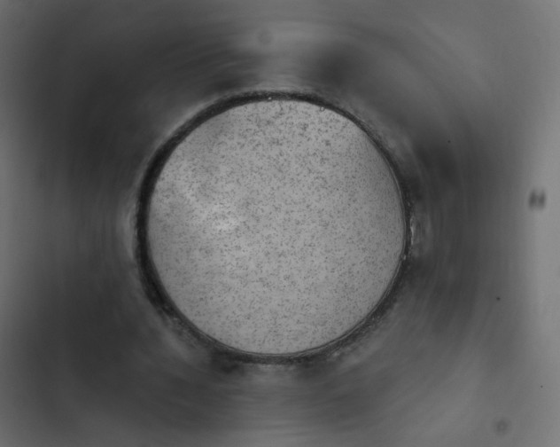 X0000103950436200809261752