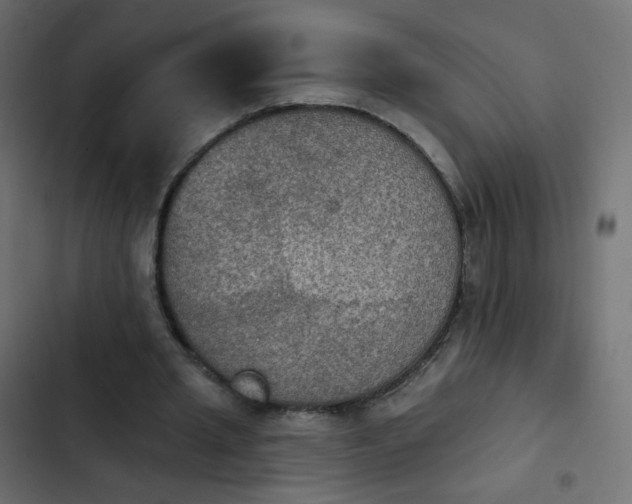 X0000103950437200809261752