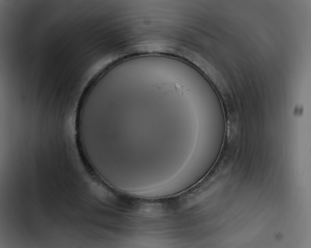 X0000103950438200809261752