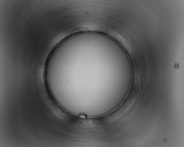 X0000103950439200809261752