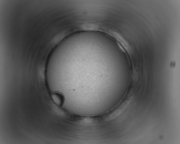 X0000103950441200809261752