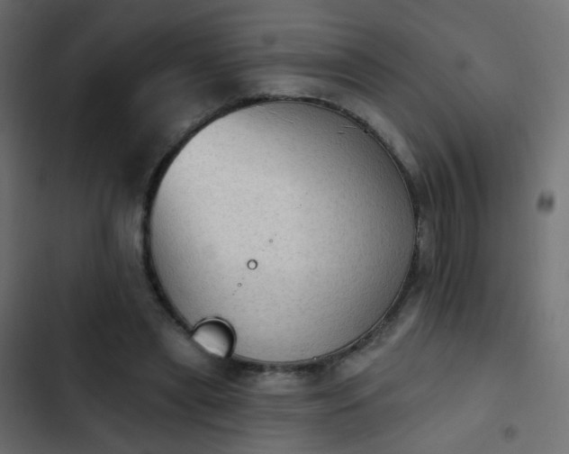 X0000103950445200809261752