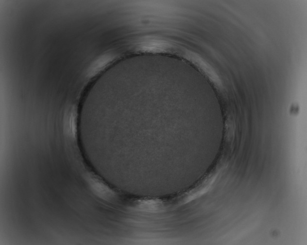 X0000103950446200809261752