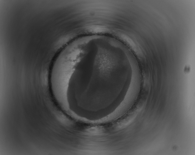 X0000103950447200809261752