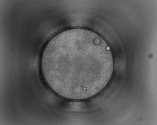 X0000103950448200809261752