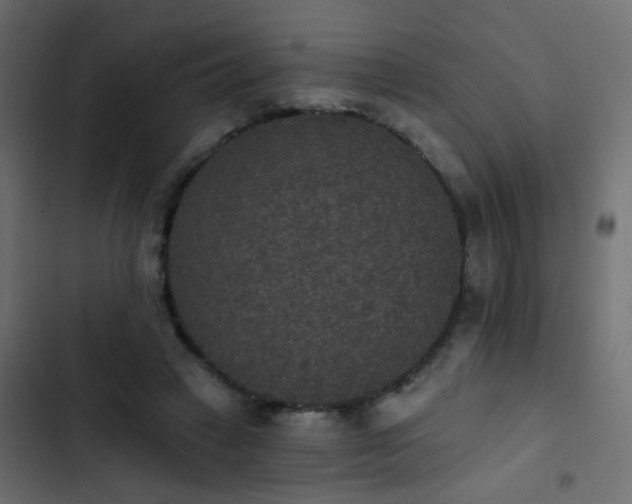 X0000103950449200809261752