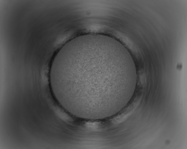 X0000103950450200809261752