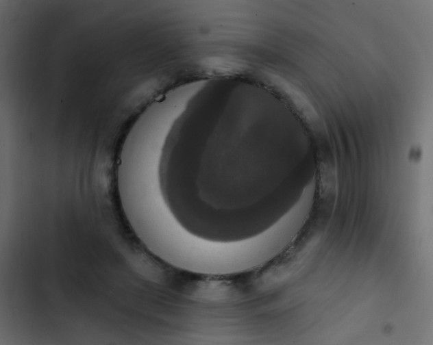 X0000103950451200809261752