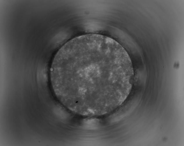 X0000103950452200809261752