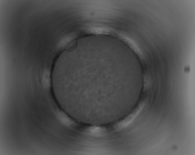 X0000103950453200809261752