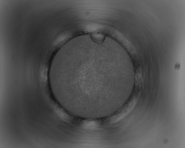 X0000103950454200809261752