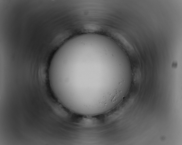 X0000103950455200809261752