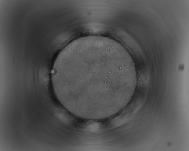 X0000103950456200809261752