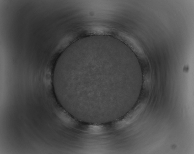 X0000103950457200809261752