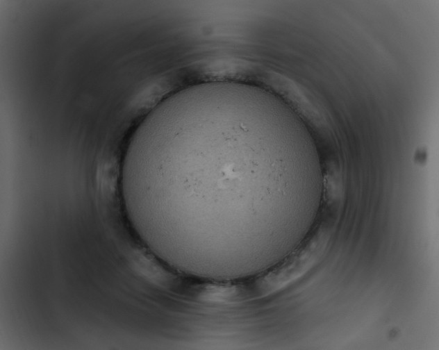 X0000103950458200809261752