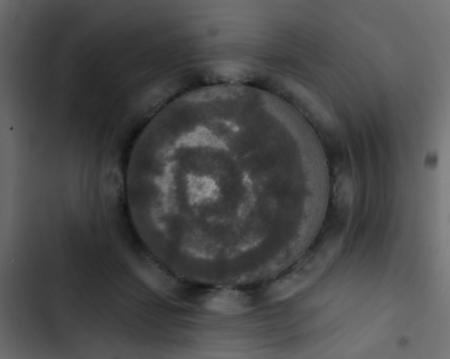 X0000103950459200809261752