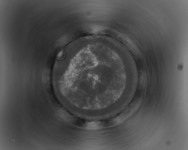 X0000103950461200809261752