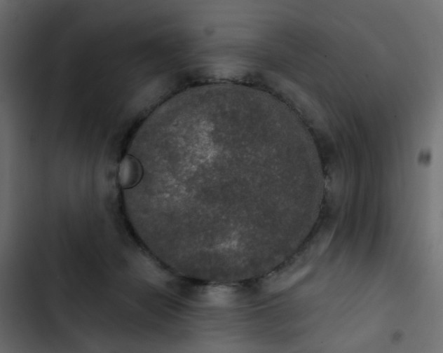 X0000103950462200809261752