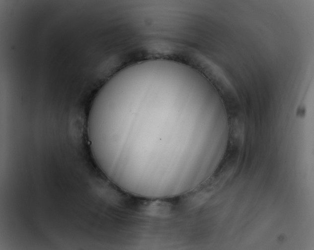 X0000103950463200809261752