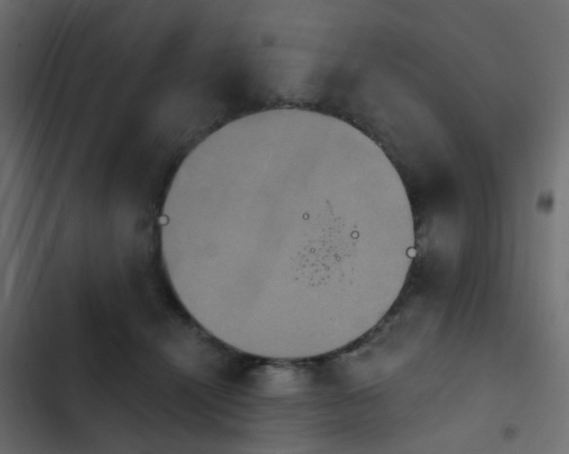 X0000103950464200809261752