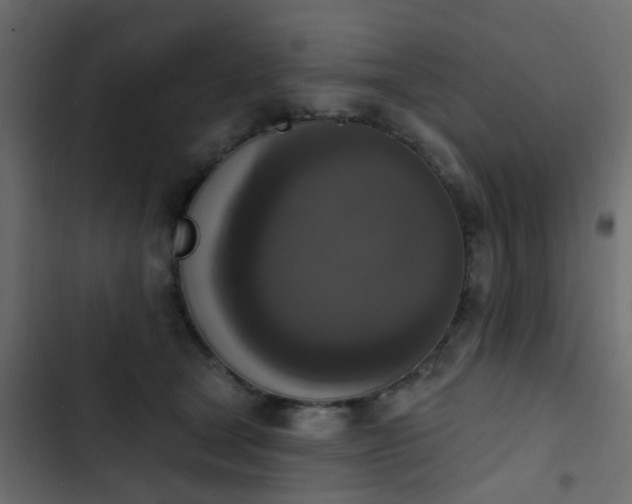 X0000103950465200809261752