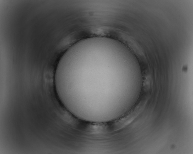 X0000103950466200809261752