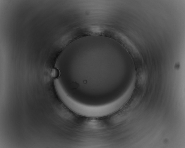 X0000103950467200809261752