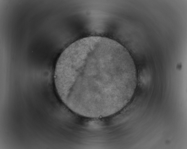 X0000103950468200809261752