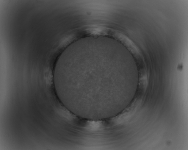 X0000103950469200809261752