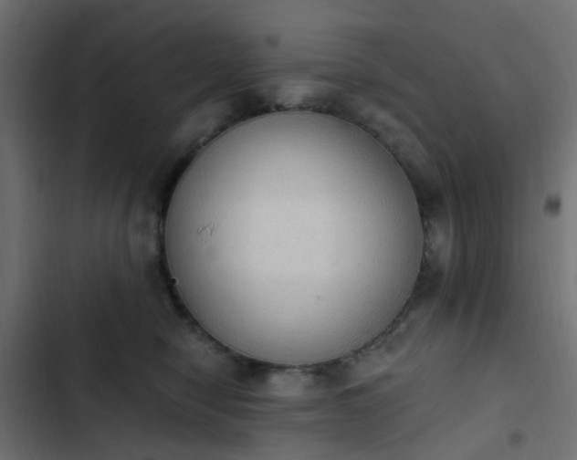 X0000103950470200809261752