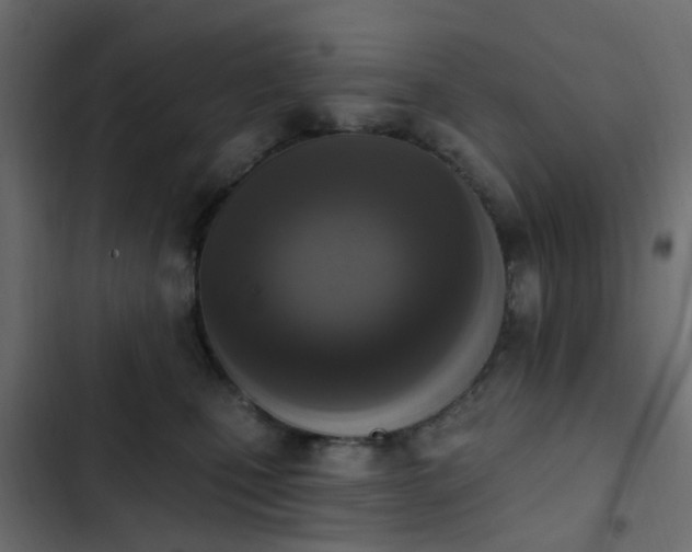 X0000103950471200809261752