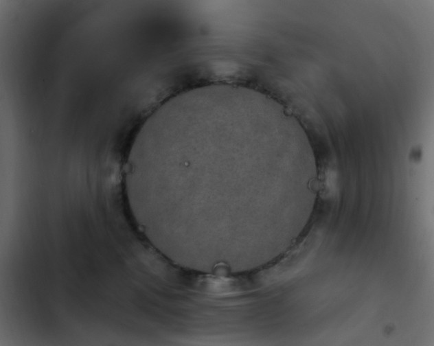 X0000103950472200809261752