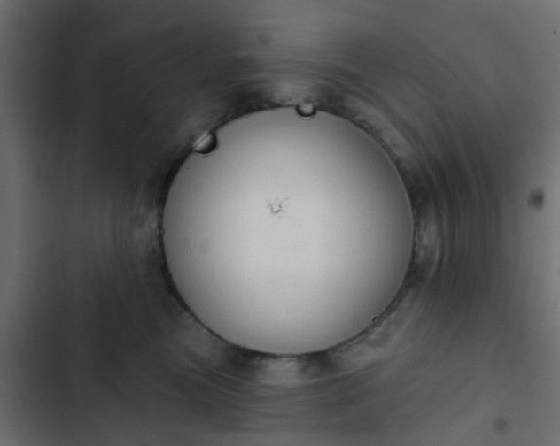 X0000103950473200809261752