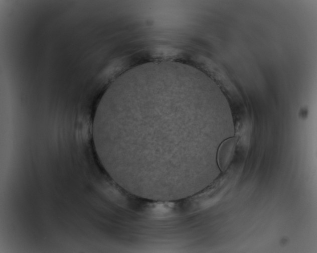 X0000103950474200809261752