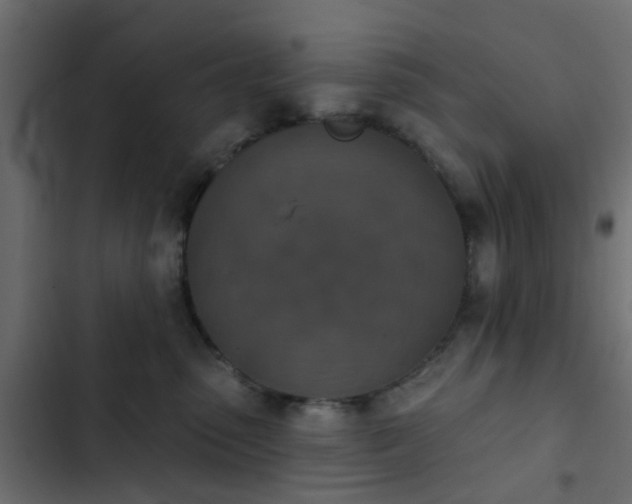 X0000103950475200809261752