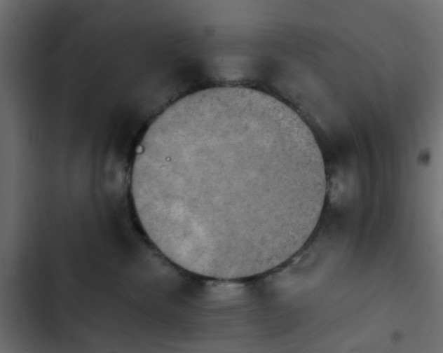 X0000103950476200809261752