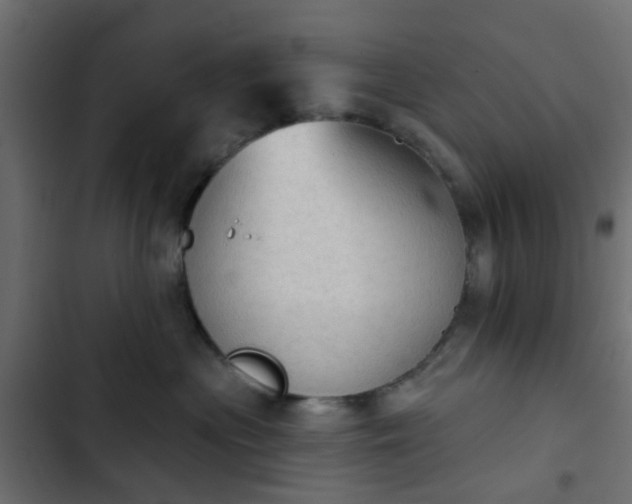 X0000103950477200809261752