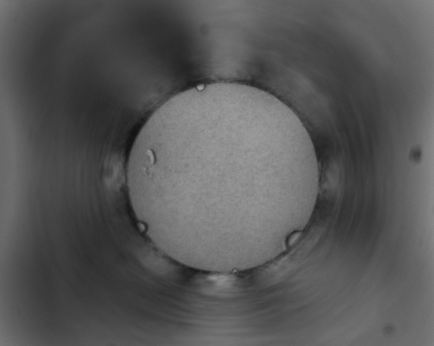 X0000103950478200809261752