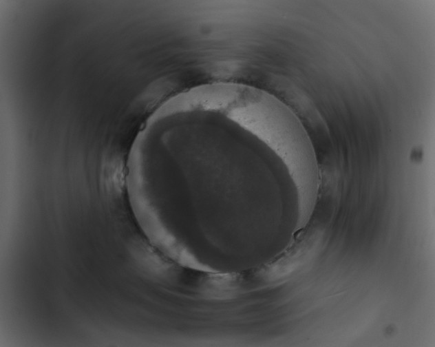 X0000103950479200809261752