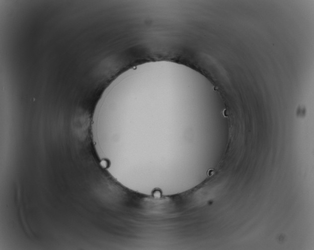 X0000103950480200809261752